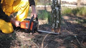 Best Lawn Irrigation Installation and Maintenance  in Warrenton, GA